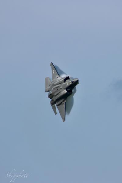 IMG_7310.jpeg
